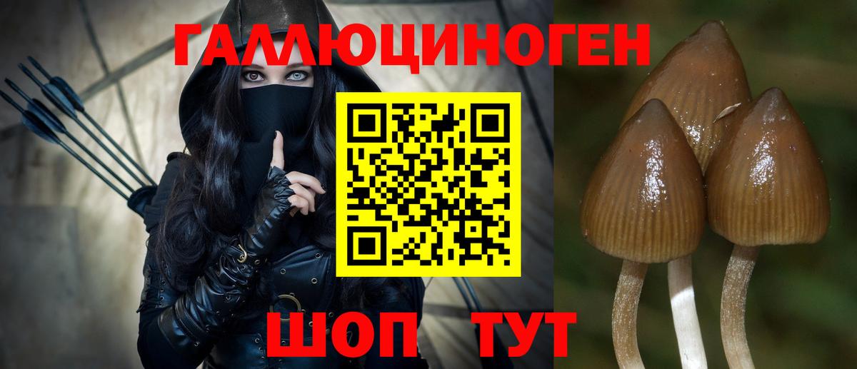 Еманжелинск  Галлюциногенные грибы Magic Shrooms  Вход с VPN  цены наркотик  Псилоцибиновые грибы GOLDEN TEACHER 